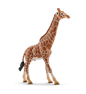 Фигурка Schleich от серията Дивия живот - Африка: Жираф мрежест - мъжки