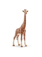 Фигурка Schleich от серията Дивия живот - Африка: Жираф мрежест - женски