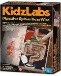 Образователен комплект 4M KidzLabs - Храносмилателна система, звънчева инсталация
