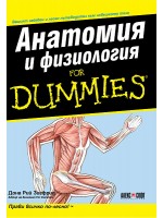 Анатомия и физиология
