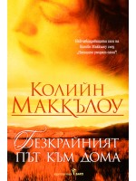 Безкрайният път към дома