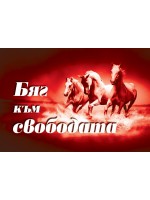 Бяг към свободата (Колекция от знания)