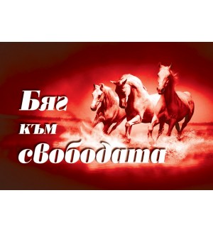 Бяг към свободата (Колекция от знания)