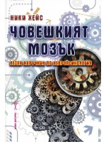 Човешкият мозък: Лесен наръчник по невропсихология
