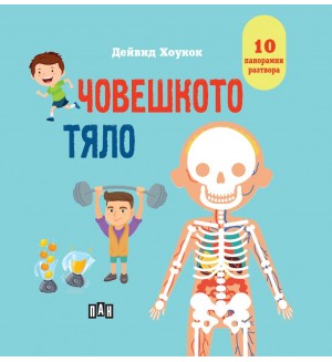 Човешкото тяло (панорамна книжка)