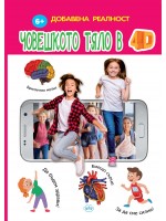 Човешкото тяло в 4D