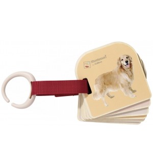 Детска книжка с картинки Eichhorn - Монтесори, 7 части