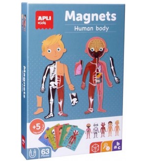 Детска магнитна игра Apli - Човешкото тяло
