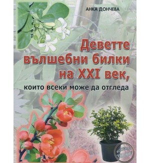 Деветте вълшебни билки на XXI век, които всеки може да отгледа