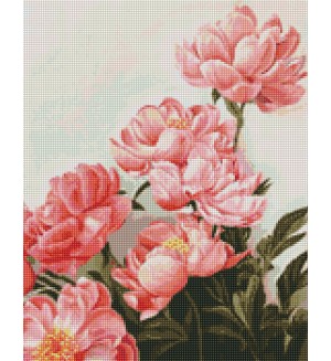 Диамантен гоблен Ideyka - Розови божури, 40 х 50 cm