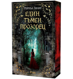 Един тъмен прозорец