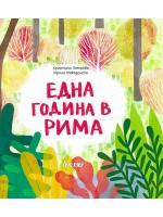 Една година в рима