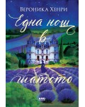 Една нощ в шатото