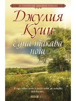 Една такава нощ