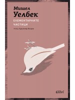 Елементарните частици (Колибри)