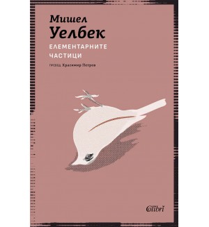 Елементарните частици (Колибри)