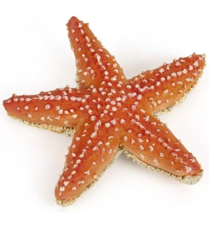 Papo Фигурка Starfish