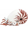 Фигурка Papo Marine Life - Наутилус