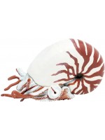 Фигурка Papo Marine Life - Наутилус