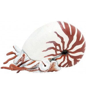 Фигурка Papo Marine Life - Наутилус