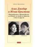Франкофония и франкофилия: Да избереш да пишеш на френски, езика на Другия