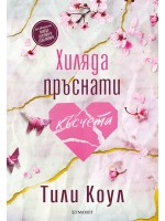 Хиляда пръснати късчета