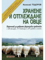 Хранене и отглеждане на овце