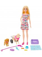 Игрален комплект Barbie - Барби с кученца и куче в инвалидна количка