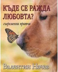 Къде се ражда любовта?
