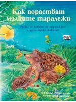 Как порастват малките таралежи