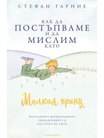 Как да постъпваме и да мислим като Малкия принц