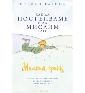 Как да постъпваме и да мислим като Малкия принц
