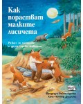 Как порастват малките лисичета (Да се запознаем!)