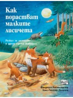 Как порастват малките лисичета (Да се запознаем!)