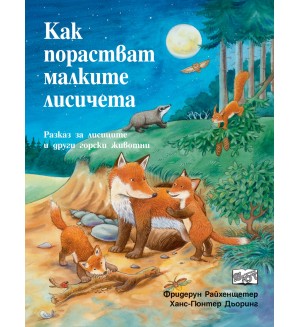 Как порастват малките лисичета (Да се запознаем!)