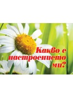 Какво е настроението ми? (Колекция от знания)