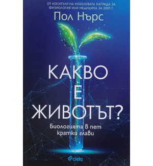 Какво е животът? (Сиела)