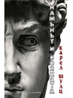 Камъкът и болката Камъкът и болката