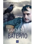 Камъкът от Ватерло