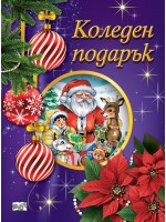 Коледен подарък 25-8 (2.5-5 години)