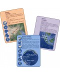 Комплект детски игри Bright Toys - Забавна география, 3 игри с карти
