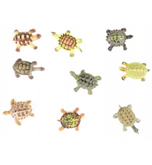 Комплект фигурки Rappa - Костенурки, 9 броя, 4-5 cm