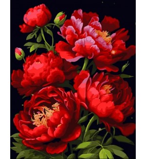 Комплект за рисуване по номера MagicArt - Алени божури
