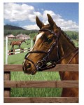 Комплект за рисуване с акрилни бои Royal - Конче, 22 х 30 cm