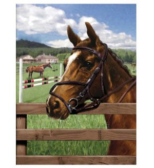 Комплект за рисуване с акрилни бои Royal - Конче, 22 х 30 cm