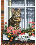 Комплект за рисуване върху платно Royal - Котка на прозорец, 23 х 30 cm