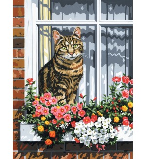 Комплект за рисуване върху платно Royal - Котка на прозорец, 23 х 30 cm