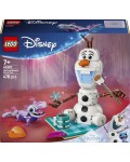 Конструктор LEGO Disney - Забавен пикник с Олаф и Бруни (43287)