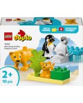 Конструктор LEGO Duplo - Семействата на дивите животни: Пингвини и лъвове (10442)