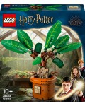 Конструктор LEGO Harry Potter - Мандрагора (76433)